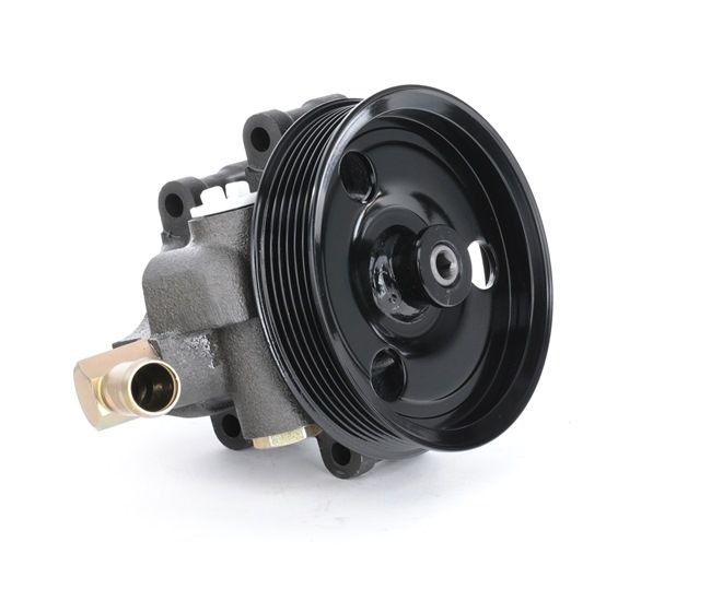 Osta Ohjaustehostimen pumppu RIDEX:llä 12H0083 edullisesti hintaan 135,99 €