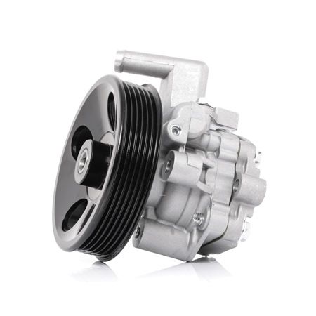 Compre Bomba de direção da RIDEX 12H0086 a um preço baixo por 106,71 €