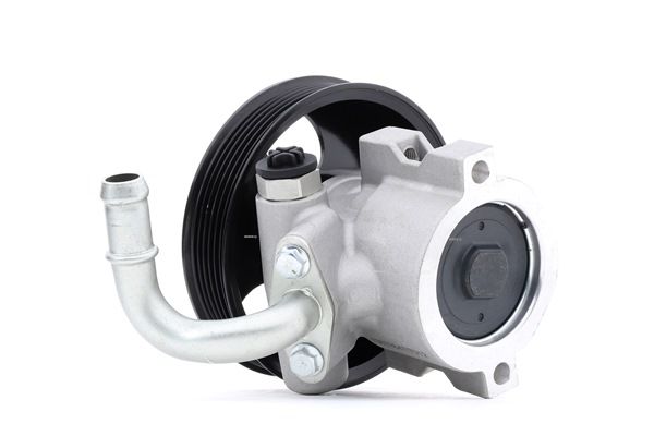 Osta Ohjaustehostimen pumppu RIDEX:llä 12H0089 edullisesti hintaan 146,32 €