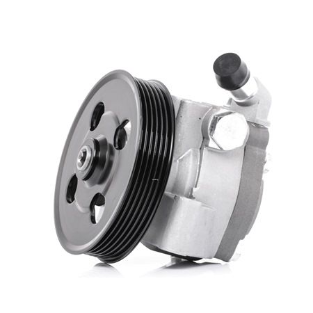 Osta Ohjaustehostimen pumppu RIDEX:llä 12H0123 edullisesti hintaan 210,07 €