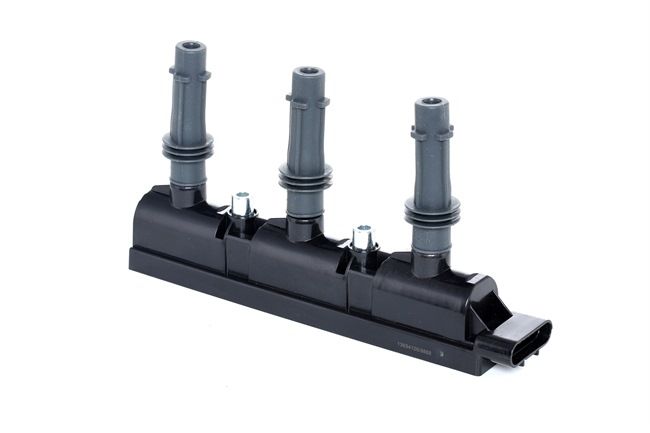 Zündspule 689C0304