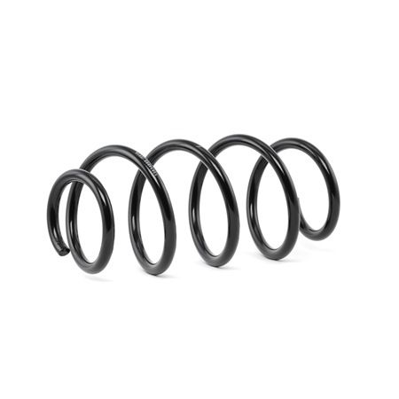 Osta Jousi (auton jousitus) RIDEX:llä 188C0399 edullisesti hintaan 29,82 €
