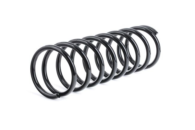 Osta Jousi (auton jousitus) RIDEX:llä 188C0480 edullisesti hintaan 27,92 €