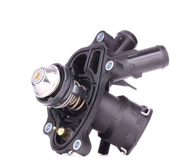 Kühlwasserthermostat 316T0179