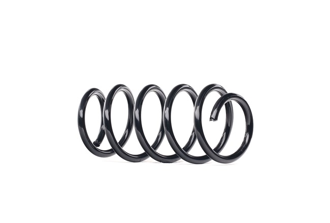 Online Shop für Fahrwerksfeder von RIDEX EAN: 4059191722891