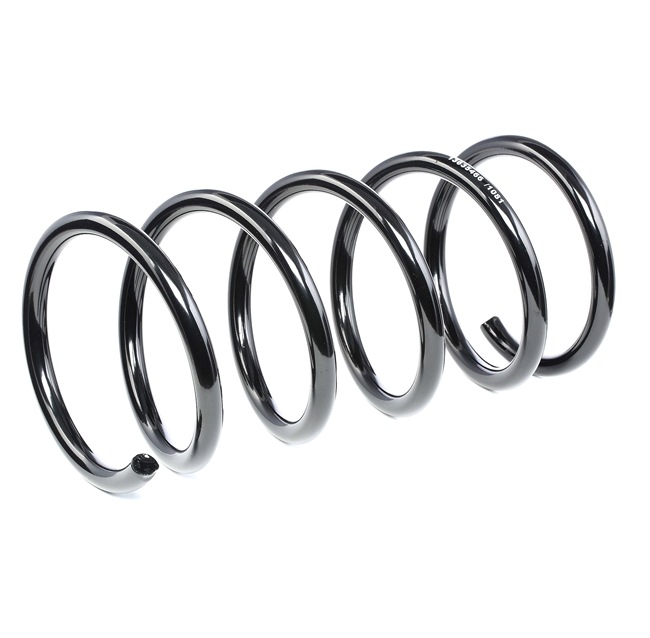 Osta Jousi (auton jousitus) RIDEX:llä 188C0538 edullisesti hintaan 44,65 €