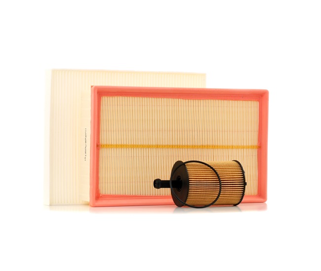 Compre Kit de filtros de RIDEX online para California T5 Bus (7EC, 7EF, 7EG, 7HF) a precios moderados