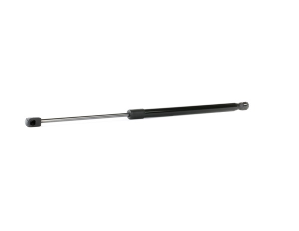 Heckklappendämpfer 219G0774 von RIDEX günstig für 8,01 € online kaufen