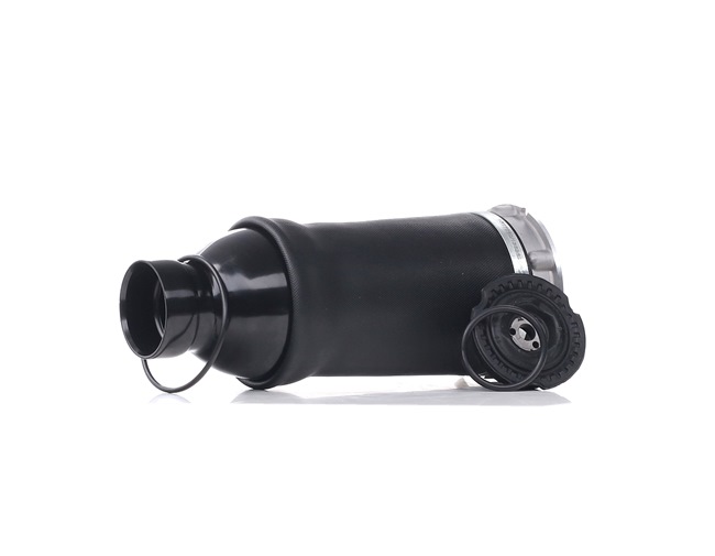 Osta Ilmajousi RIDEX:llä 4119A0003 edullisesti hintaan 300,58 €