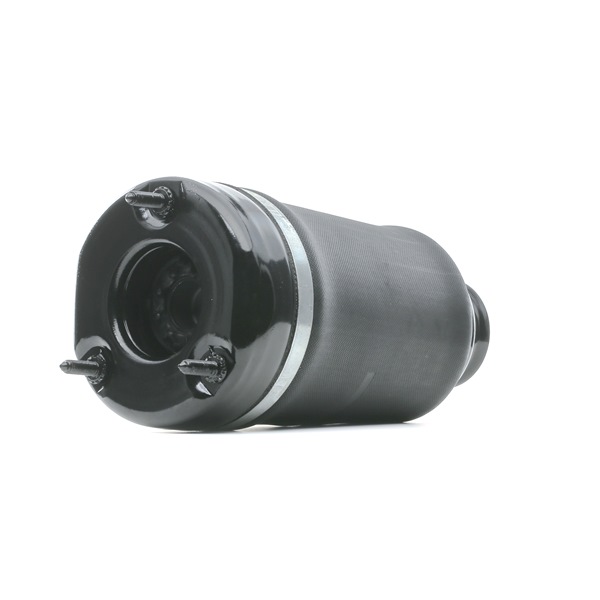 Osta Ilmajousi RIDEX:llä 4119A0005 edullisesti hintaan 128,20 €