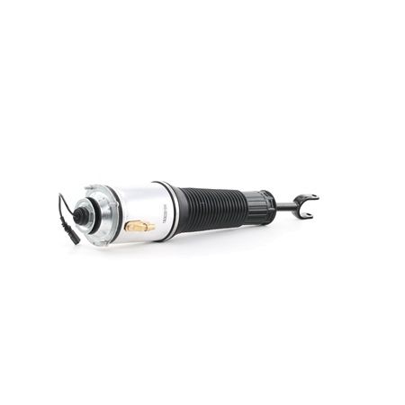 Osta Ilmajousijalka RIDEX:llä 4118A0002 edullisesti hintaan 687,74 €