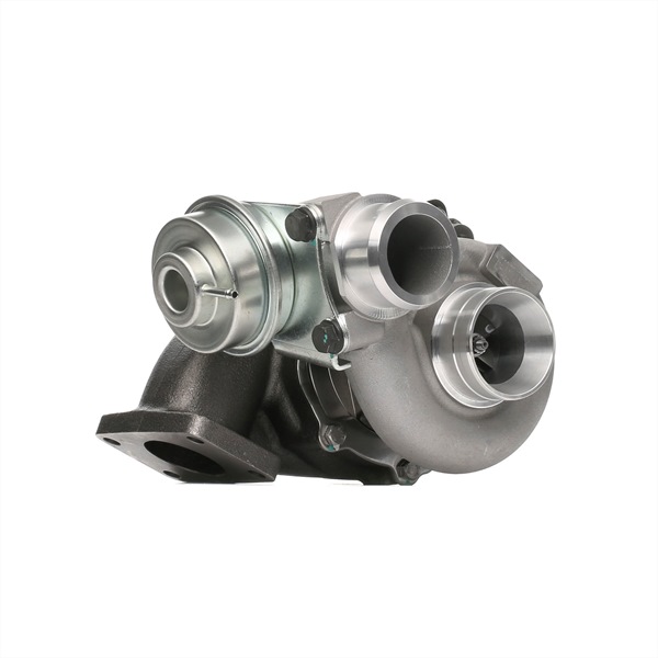 RIDEX Turbolader 2234C0125 online kaufen