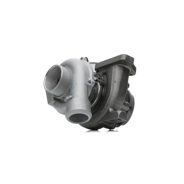 Acquista Turbina da RIDEX 2234C0131 a buon mercato per soli 407,20 €