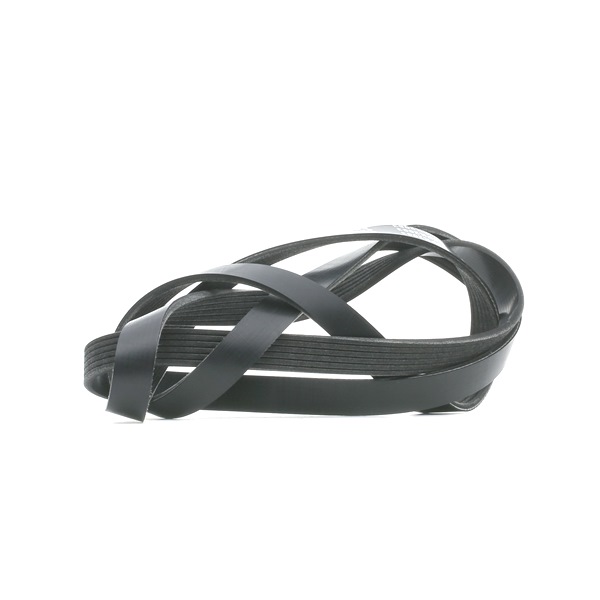 Achetez des Courroie Poly-V RIDEX 305P0333 à prix pour 15,82 €