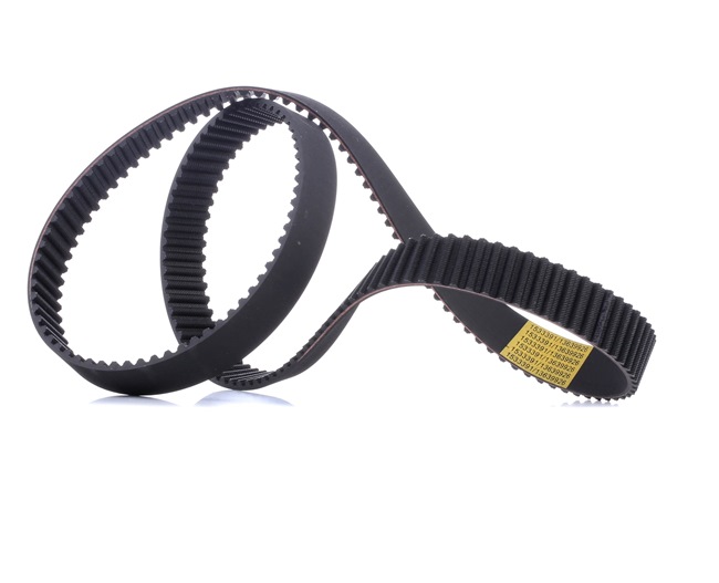 Acquista online RIDEX Cinghia dentata Art.: 306T0119