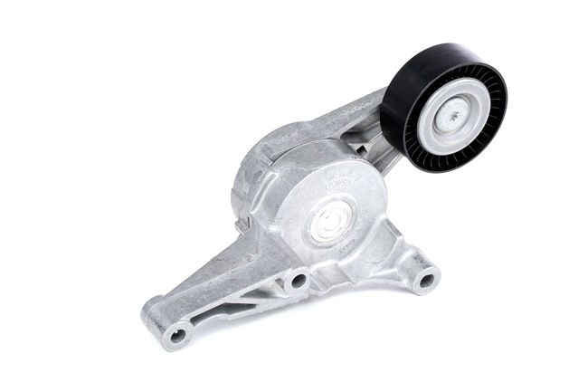 Compre Rolo tensor, correia trapezoidal estriada da SKF VKM 31054 a um preço baixo por 36,77 €