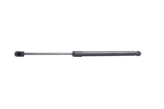 Heckklappendämpfer für DODGE von RIDEX