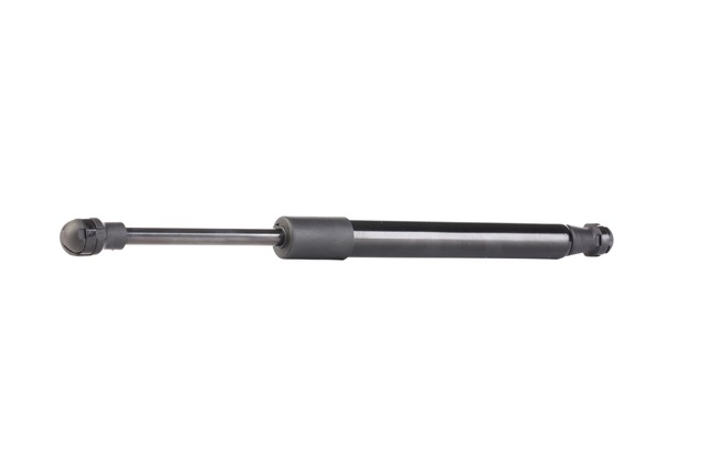 Heckklappendämpfer 219G0755 von RIDEX günstig für 9,41 € online kaufen
