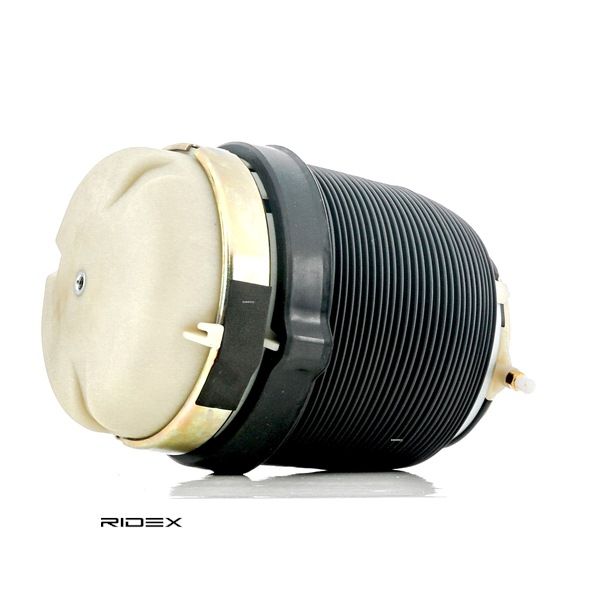Osta Ilmajousi RIDEX:llä 4119A0025 edullisesti hintaan 129,15 €