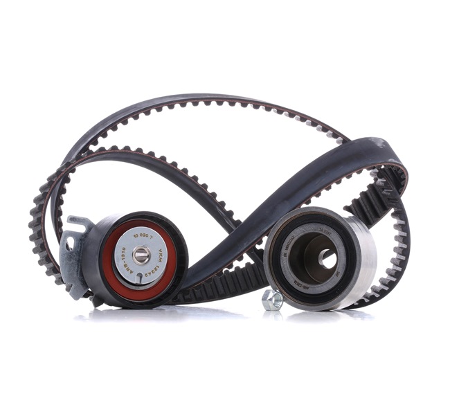 Achetez des Kit de distribution SKF VKMA 02242 à prix pour 65,01 €
