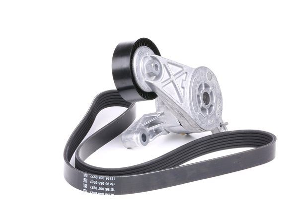 Achetez des Jeu de courroies trapézoïdales à nervures SKF VKMA 31022 à prix pour 62,12 €