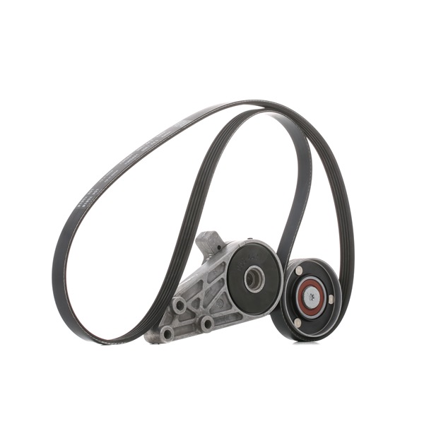 Acquista Kit Cinghie Poly-V da SKF VKMA 31034 a buon mercato per soli 82,99 €