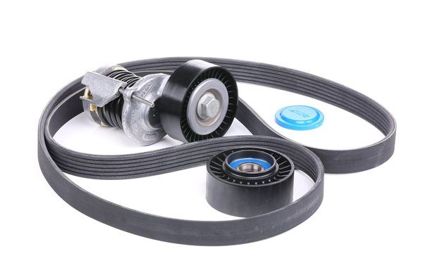 Acquista Kit Cinghie Poly-V da SKF VKMA 31127 a buon mercato per soli 65,10 €