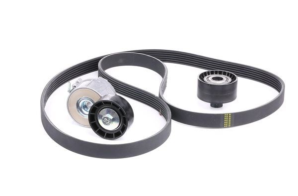 Acquista Kit Cinghie Poly-V da SKF VKMA 33161 a buon mercato per soli 83,48 €