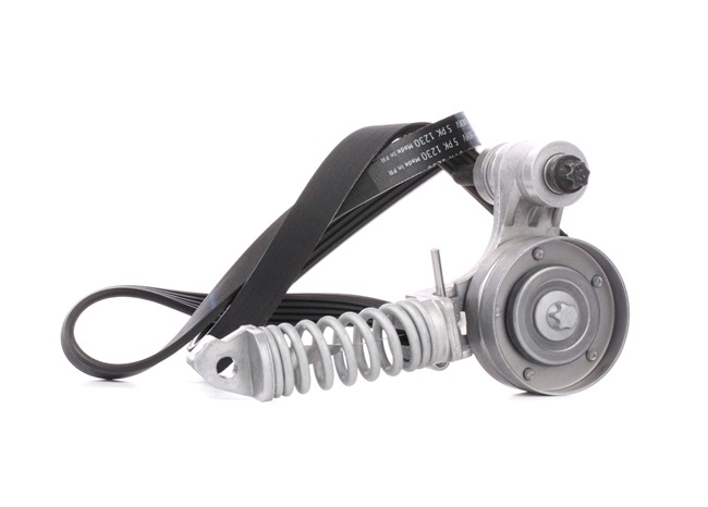 Comprar Juego de correas trapeciales poli V de SKF VKMA 35113 a bajo precio de 59,81 €