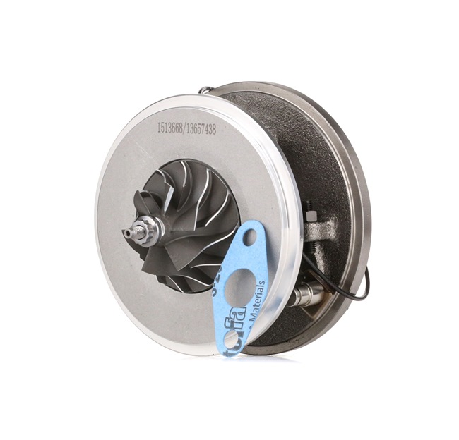 Compre Cartucho CHRA da RIDEX 4973C0005 a um preço baixo por 186,05 €