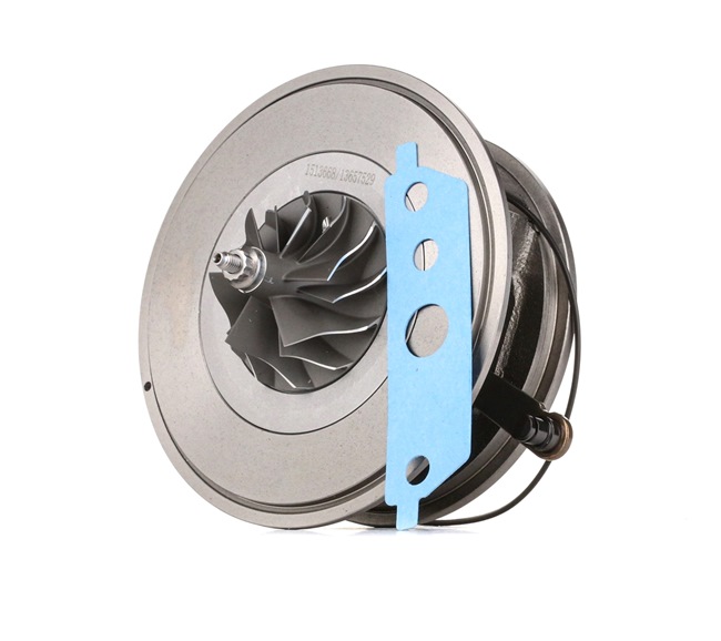 Compre Cartucho CHRA da RIDEX 4973C0007 a um preço baixo por 269,68 €