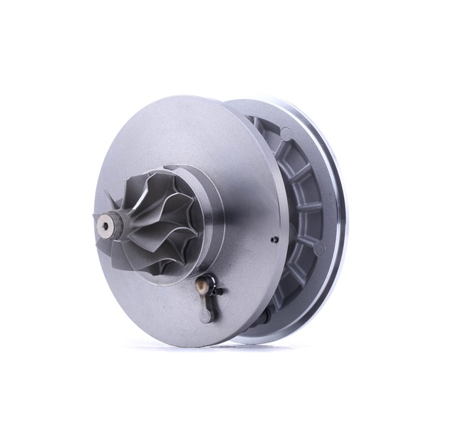 Rumpfgruppe Turbolader 4973C0009 FIAT BRAVO von RIDEX