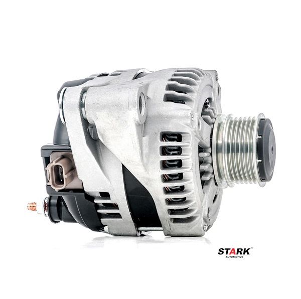 Lichtmaschine SKGN-0320263