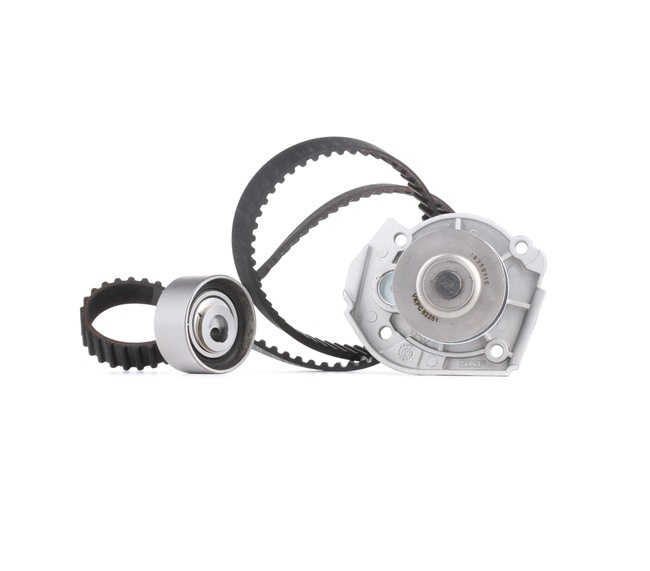 Achetez des Kit de distribution + pompe à eau SKF VKMC 02206 à prix pour 85,52 €