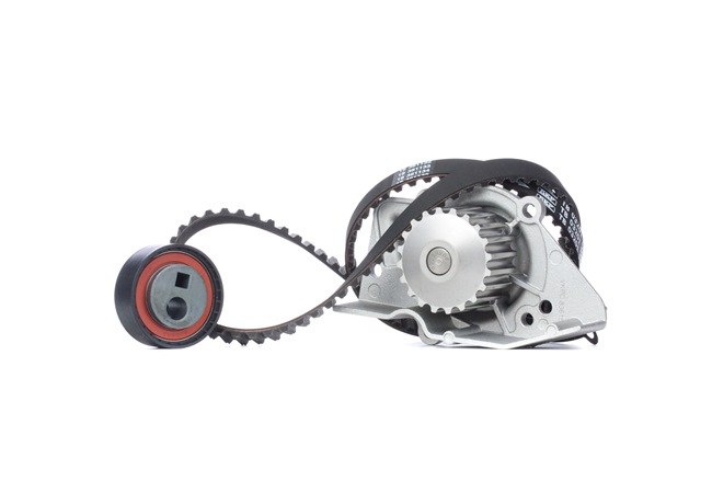 Achetez des Kit de distribution + pompe à eau SKF VKMC 03201-1 à prix pour 72,17 €