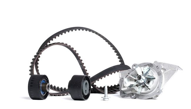 Acquista online SKF Kit cinghia distribuzione, pompa acqua Art.: VKMC 03248