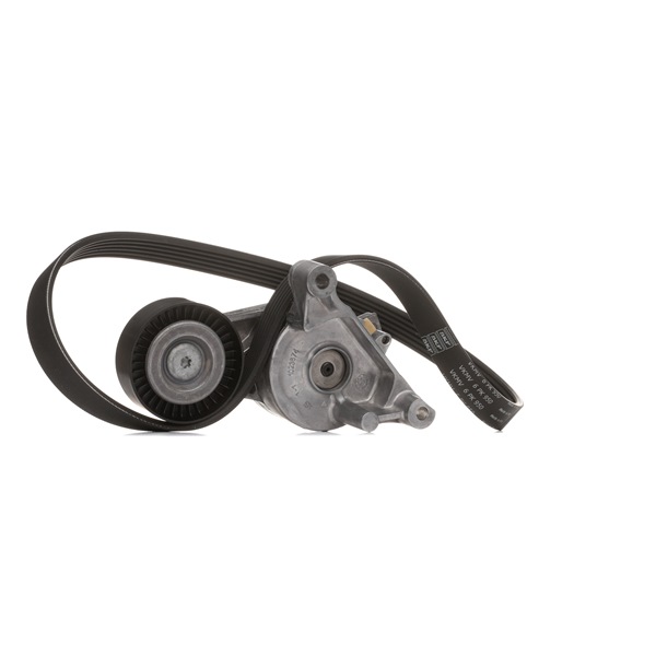 Acquista Kit Cinghie Poly-V da SKF VKMA 31037 a buon mercato per soli 59,51 €