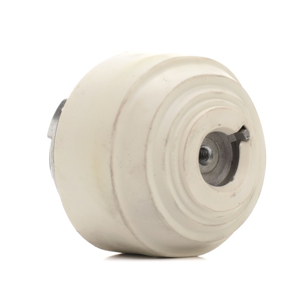 Motorlager 247E0368 von RIDEX günstig für 50,90 € online kaufen