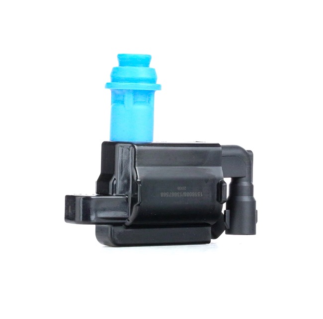 Acquista Bobina d'accensione da RIDEX 689C0347 a buon mercato per soli 32,41 €