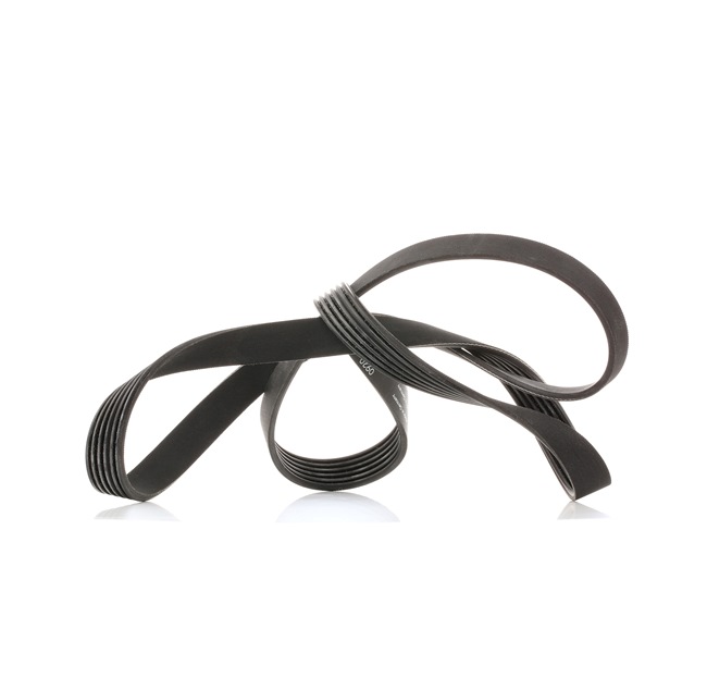 Achetez des Courroie Poly-V SKF VKMV 6PK1590 à prix pour 15,39 €