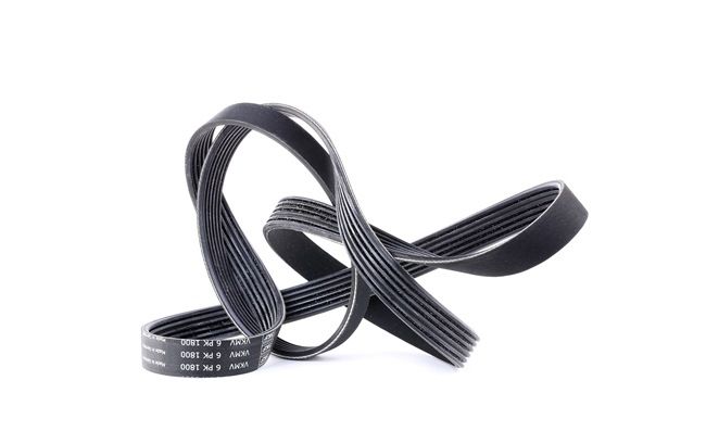 Original SKF Keilrippenriemen online kaufen