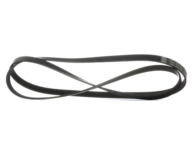 Acquista online SKF Cinghia servizi Art.: VKMV 6PK2155