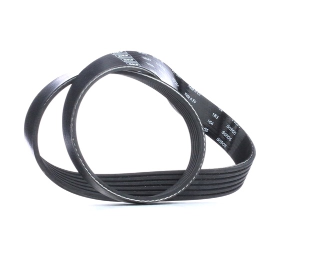 Achetez des Courroie Poly-V SKF VKMV 6PK728 à prix pour 12,00 €