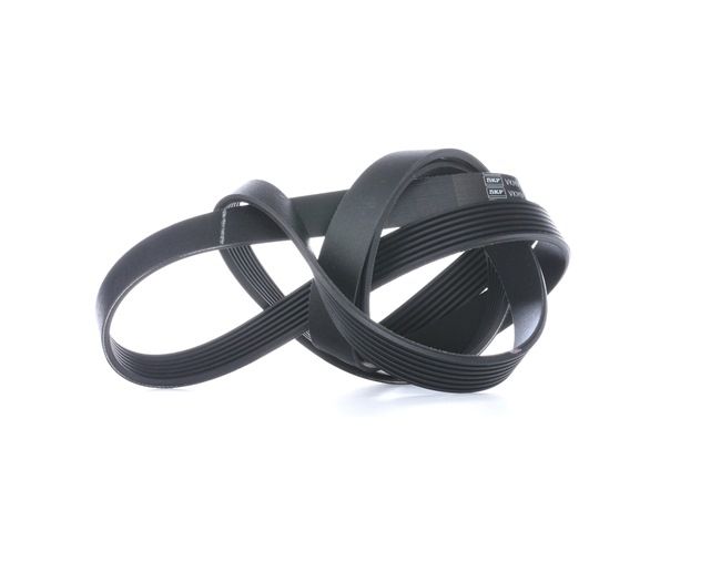 Original SKF Keilrippenriemen online kaufen