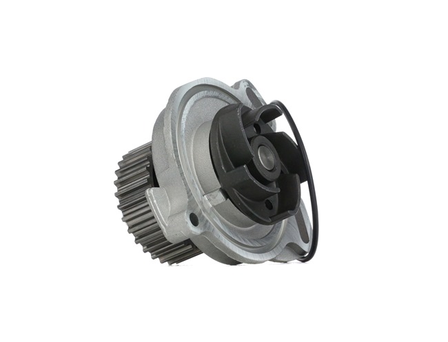 SKF Wasserpumpe VKPC 81606 online kaufen
