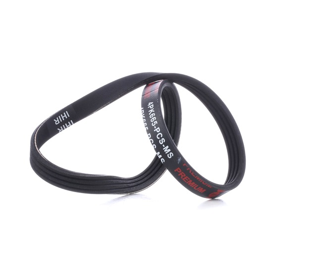 Achetez des Courroie Poly-V MASTER-SPORT 4PK665-PCS-MS à prix pour 5,86 €