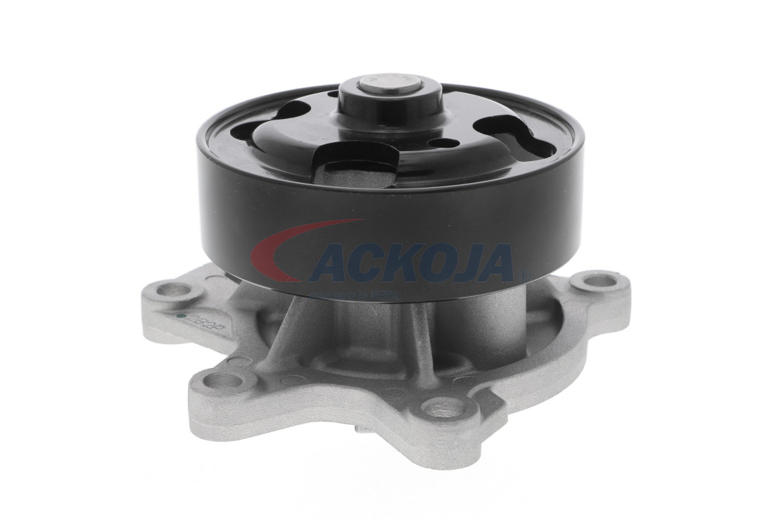 Achetez des Pompe à eau ACKOJA A38-0701 à prix pour 72,38 €