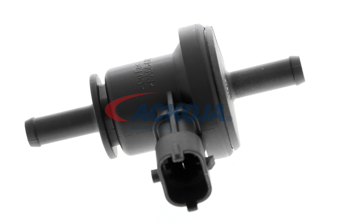 Ventil, Aktivkohlefilter A52-77-0018