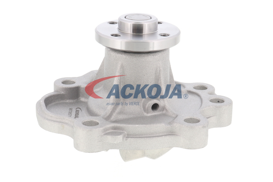Comprar Bomba de agua de ACKOJA A64-50006 a bajo precio de 59,81 €