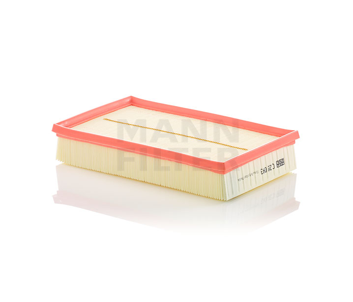 Acquista online MANN-FILTER Filtro aria Art.: C 28 043